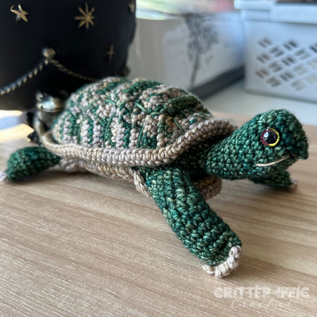 Tilly the Turtle in Malabrigo Rios Fresco Y Seco & Niebla